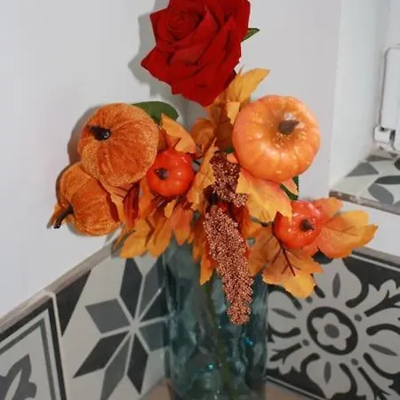 Prázdninový dům La Maisonnette De Jean Bar A *