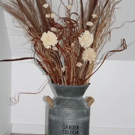 La Maisonnette De Jean Bar A * Thun-Saint-Martin