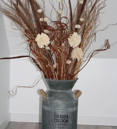 La Maisonnette De Jean Bar A * Thun-Saint-Martin